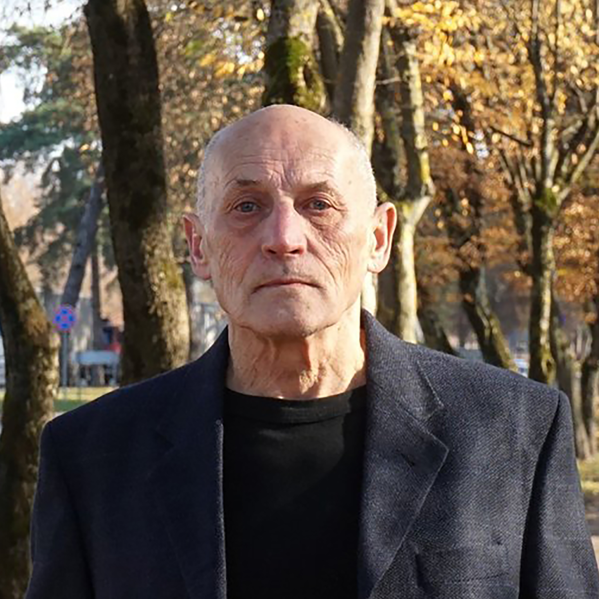 Vytautas V. Stanionis
