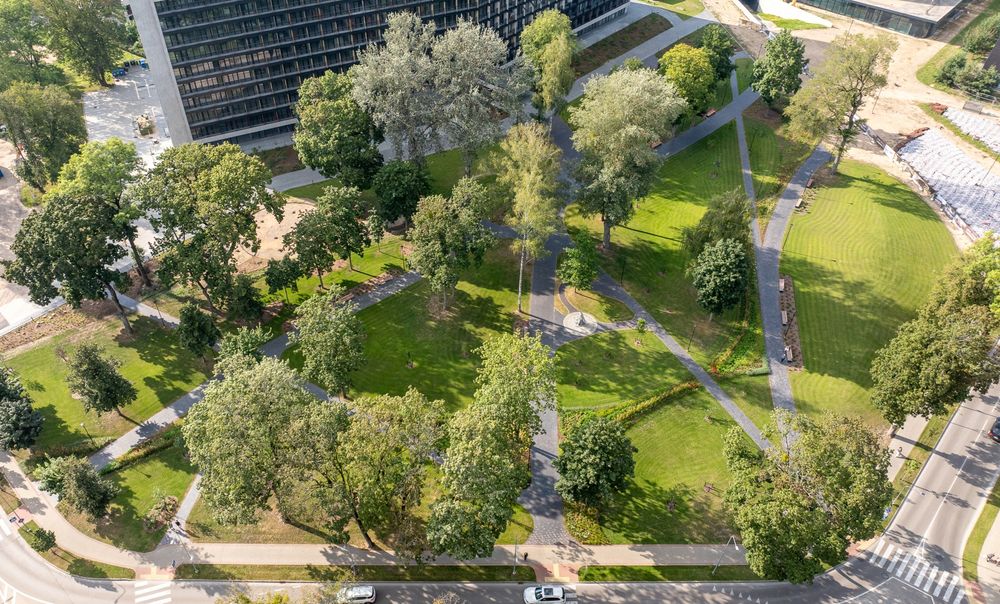 Aldona Jankauskienė — nuotrauka 1
